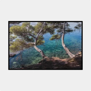 Betlem – Mediterráneo